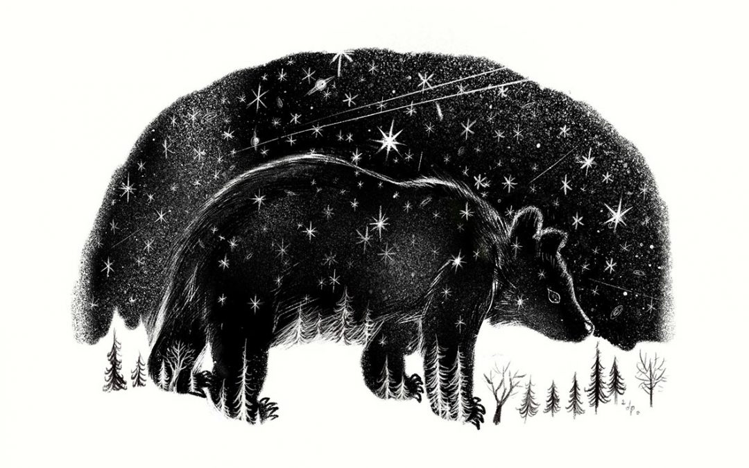 The bears