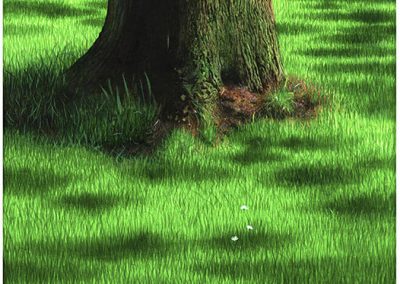 Tree Trunk 1