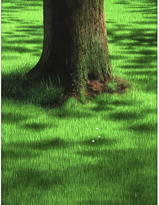 Tree Trunk 1