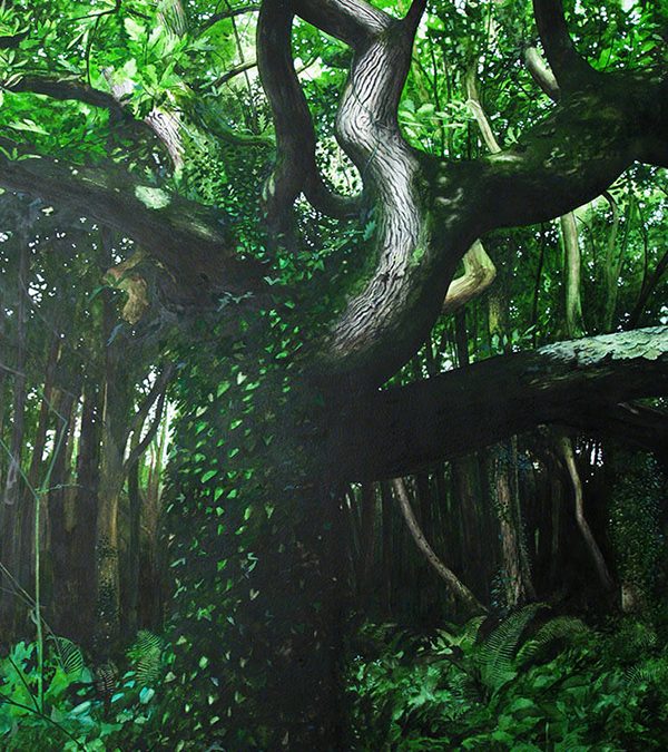 Oak